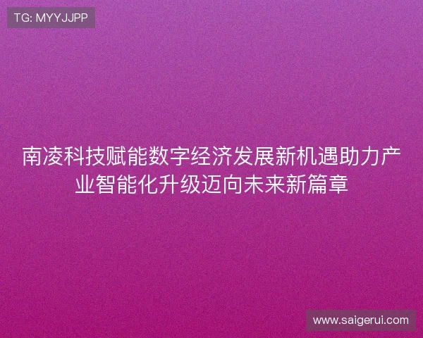 南凌科技赋能数字经济发展新机遇助力产业智能化升级迈向未来新篇章 南凌科技赋能数字经济发展新机遇助力产业智能化升级迈向未来新篇章
